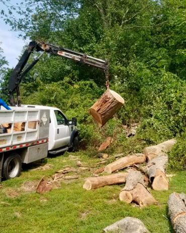 Tree Care Ridgefield, CT
Everest Cutting
Everest Stump Grinding
Everest Tree Inspection