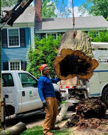 Everest Tree Care Ridgefield, CT
Everest Cutting
Everest Stump Grinding
Tree Inspection CT