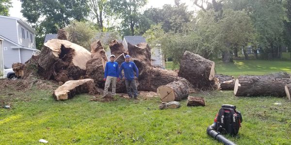 Everest Tree Care Ridgefield CT, Danbury CT, 