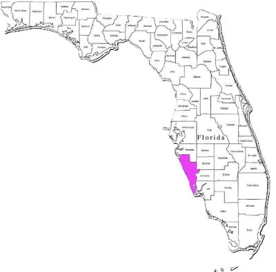 Southwest florida region, our service areas