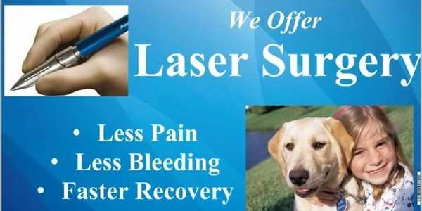 Benefita of liser surgery for cats and dogs.