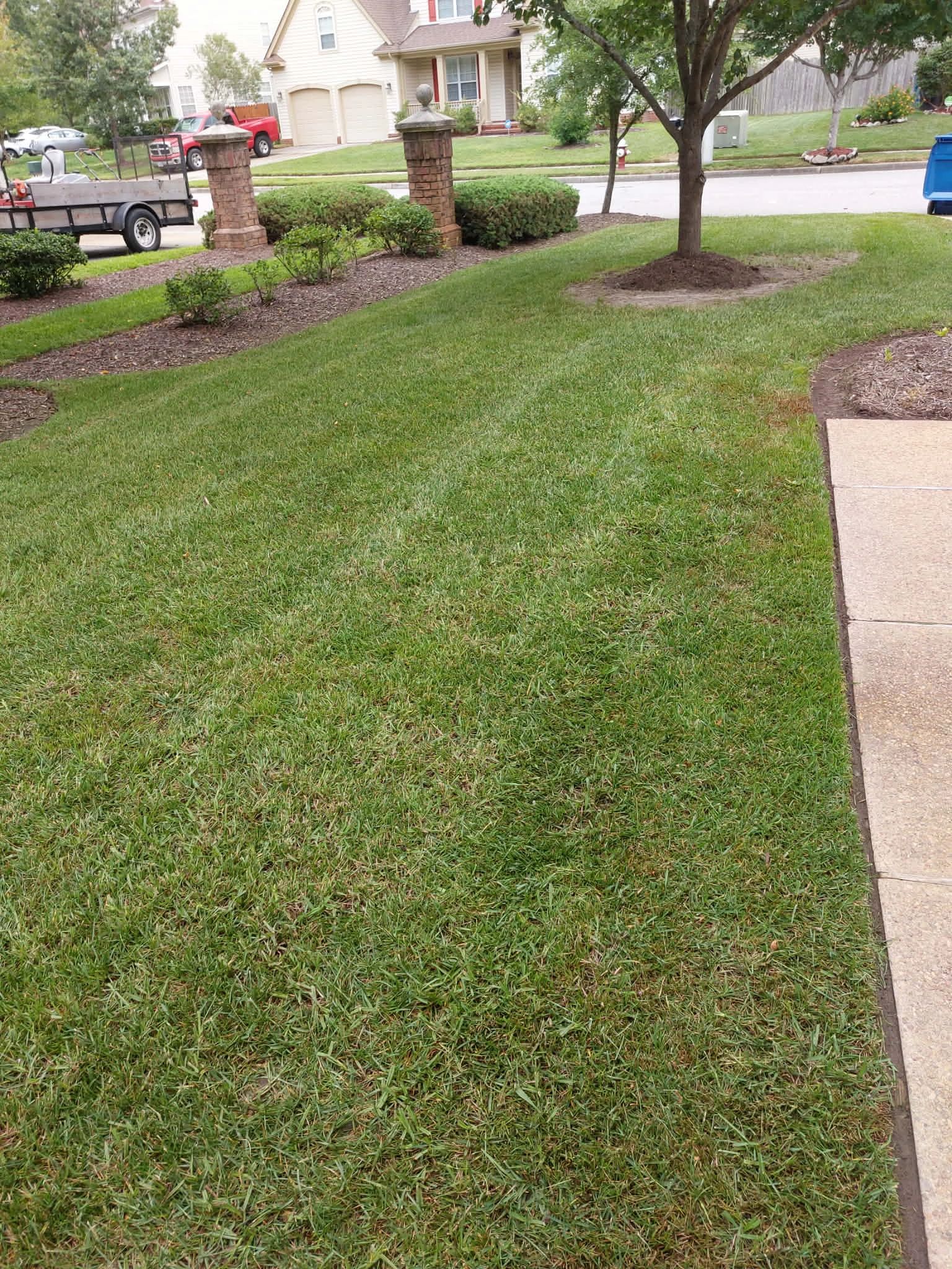 Freshly mowed green lawn with trimmed bushes and trees in a suburban neighborhood.