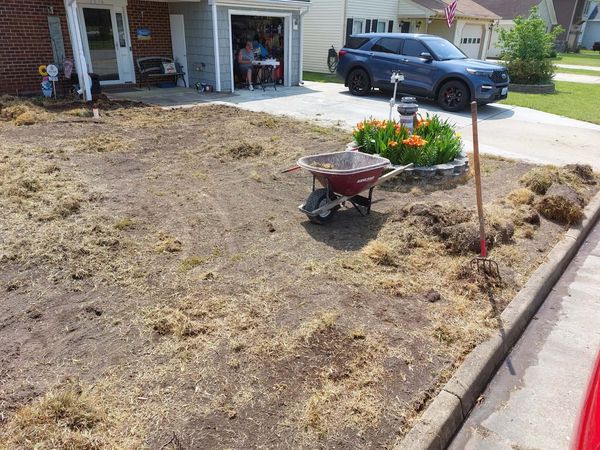 A front yard undergoing lawn renovation with gardening tools and a wheelbarrow.