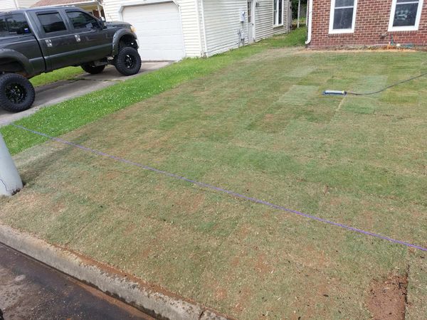 Freshly sodded lawn with visible seams and a black truck nearby.