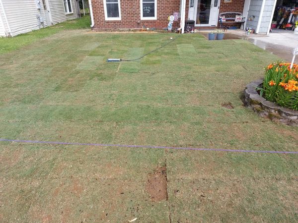 New sod laid in a backyard with visible patchwork and a sprinkler.