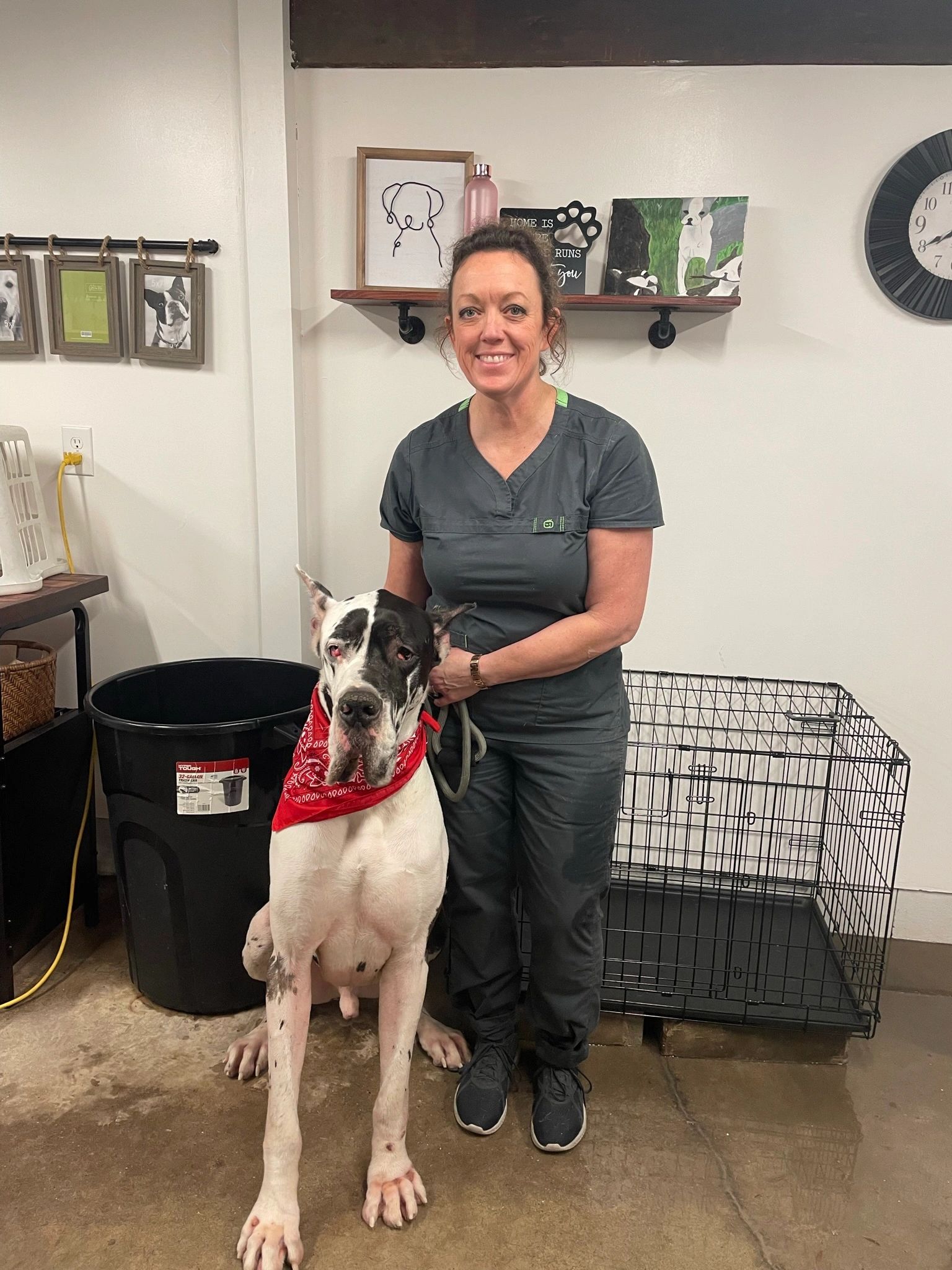 Top Knot Pet Grooming