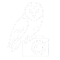 The Thick of It Photography