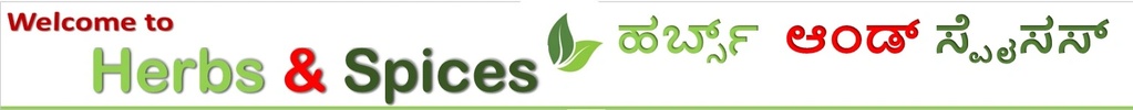 Herbsandspices