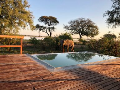 Elephants by Bubezi camp pool