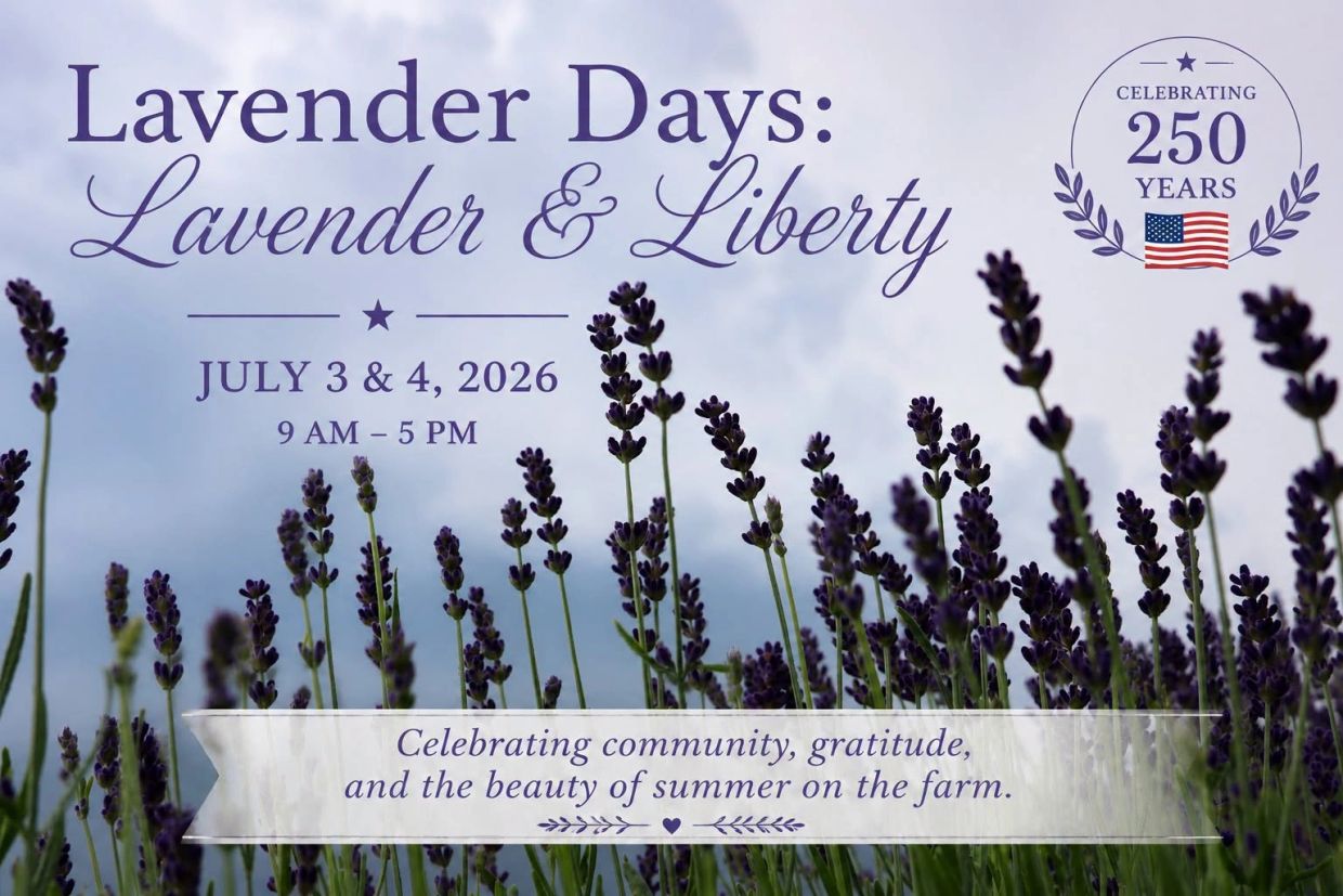 Lavender Days event celebrating community and summer on the farm.