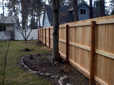 Cedar wood fence