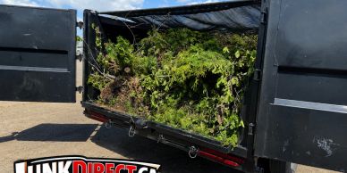 Yard Waste removal by Junk Direct 