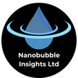 Nanobubble Insights
