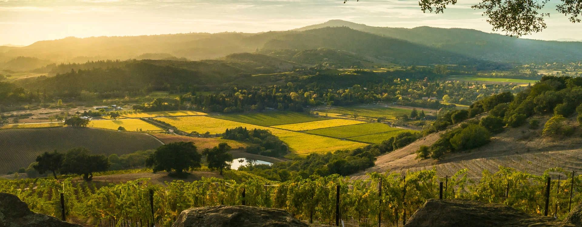 Living In Sonoma County