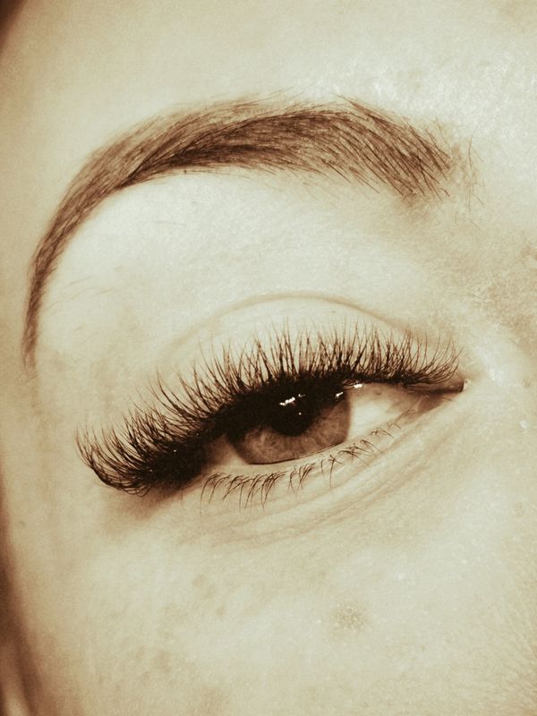 Volume Lashes