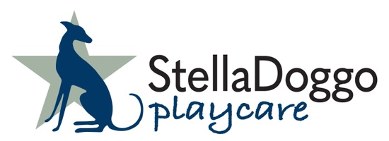 StellaDoggo Playcare