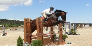 Show Jumping training