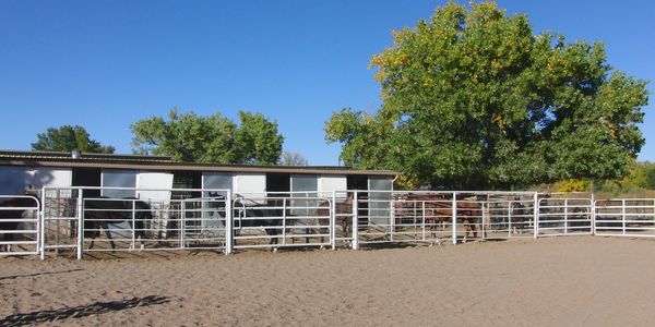 Boarding at Tonaya Farm