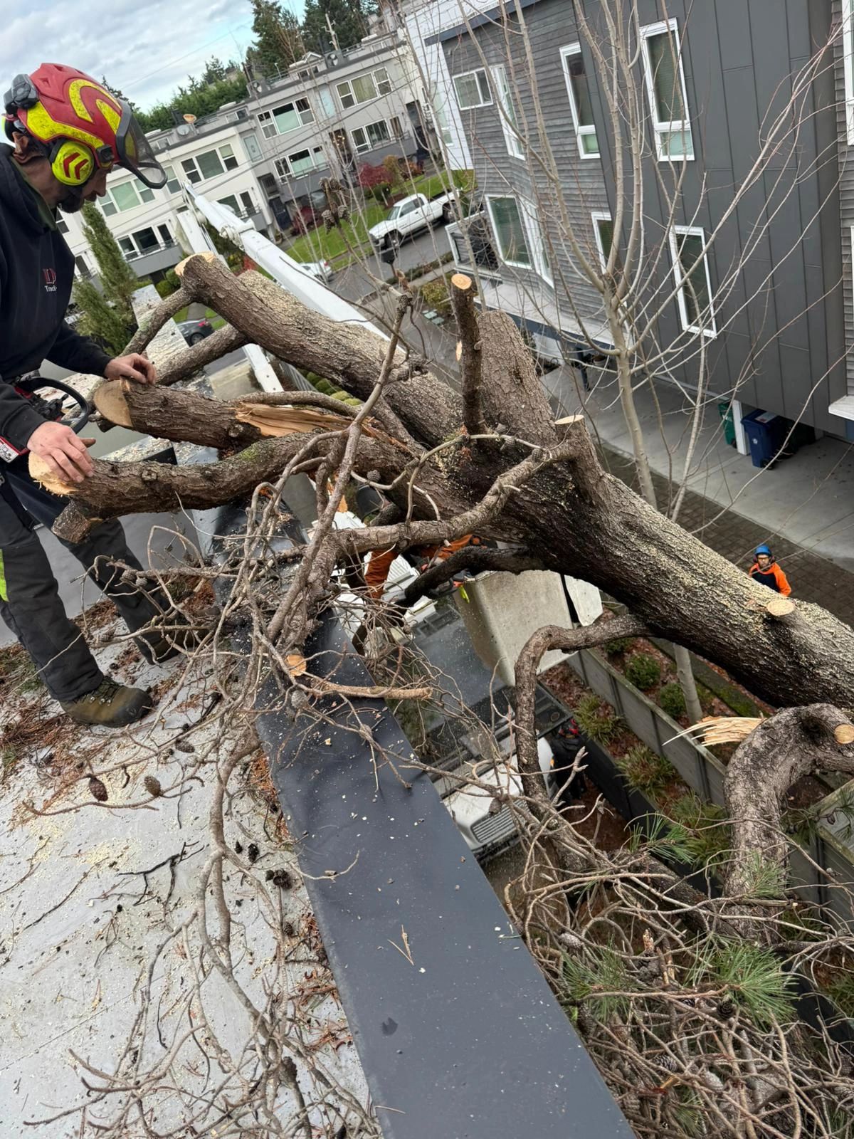 Remodeling Contractors Near Burlington WA Ultimate Guide 2025 Remodeling Contractor Near Burlington Wa 9823