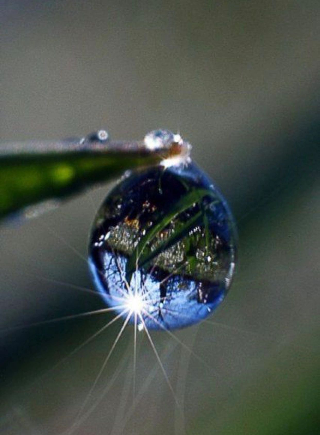 A Glimpse of Love