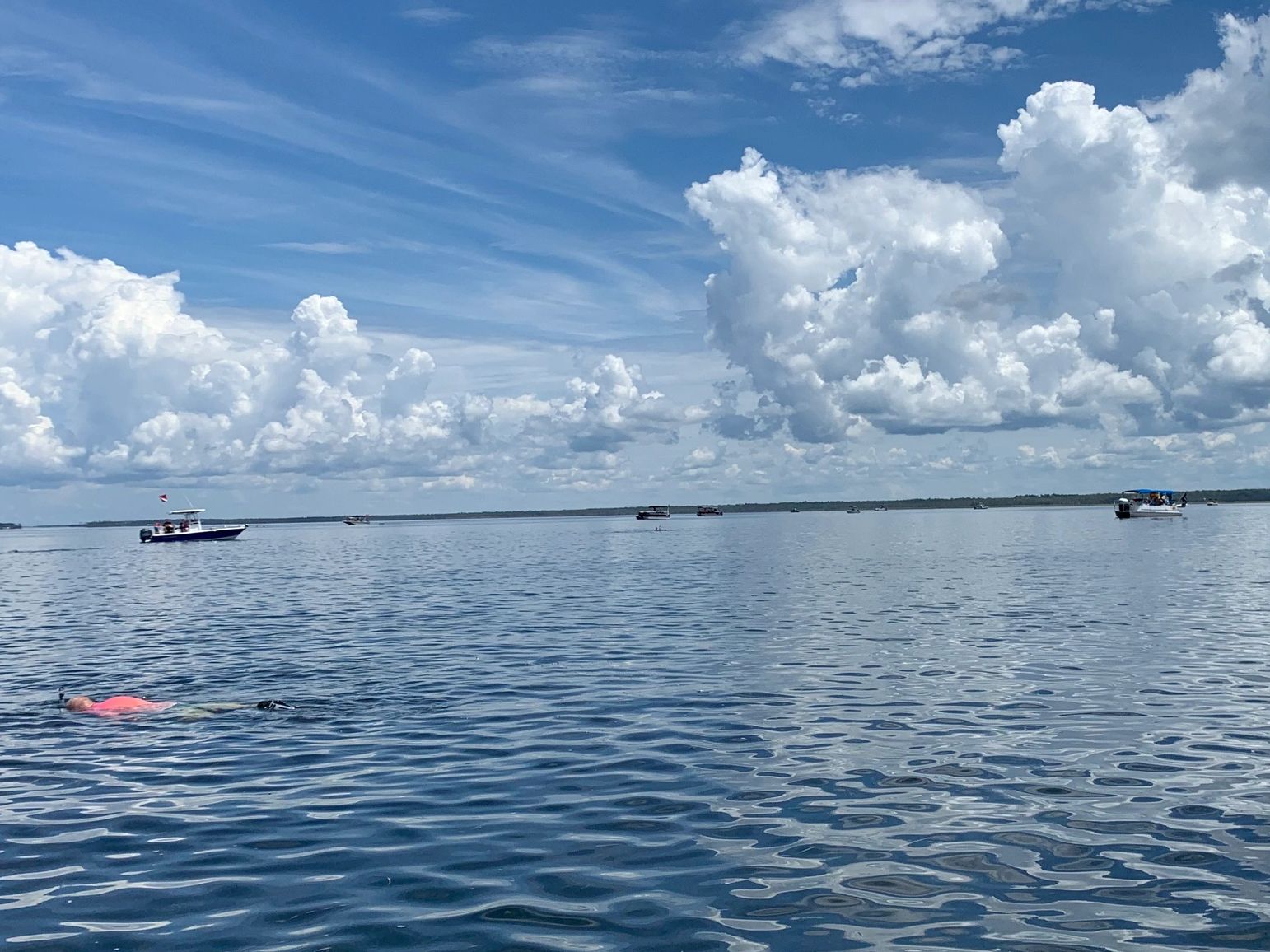 Ocean scallopers at Off Duty Rentals Steinhatchee Vacation Rental