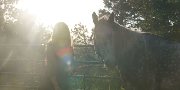 Silhouetted person holding a horse in bright, sunlit outdoor setting.