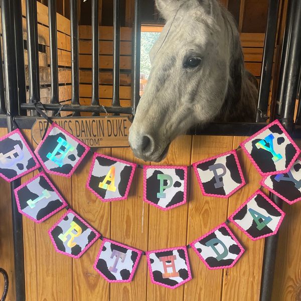 A gray horse peeks over a stall decorated with a "Happy Birthday" banner.