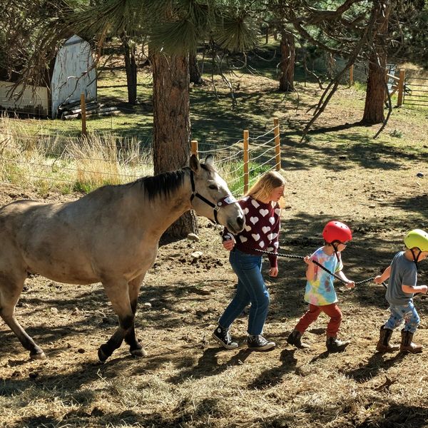 Woman and children leading a horse on a dirt path.