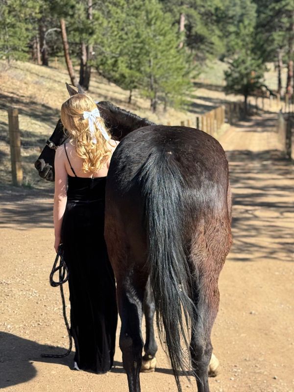 Woman in black dress walking with a black horse on a dirt path.