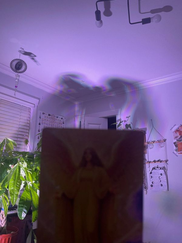 Purple light casts an angelic shadow on a bedroom ceiling with plants and decor.