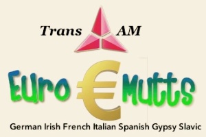 Trans AM EuroMutts 