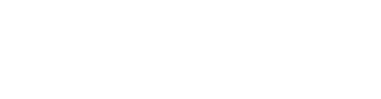 droprizz.com
