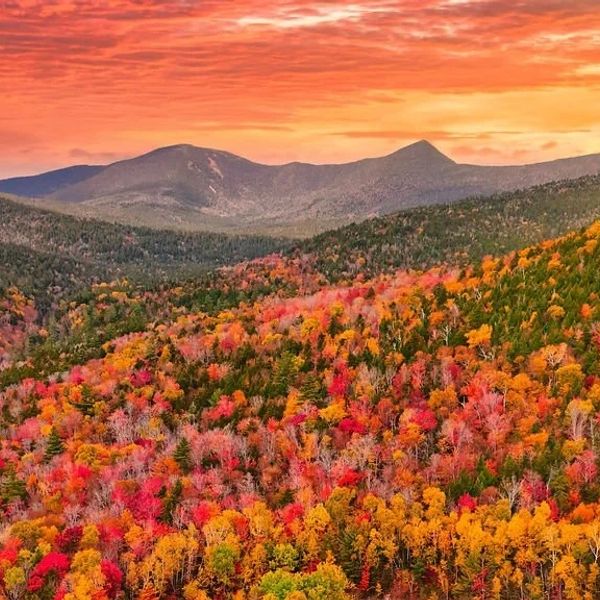 Vibrant autumn forest with colorful foliage under a fiery sunset sky and distant mountains.