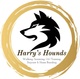 Harry’s Hounds  
harryshounds65@gmail.com