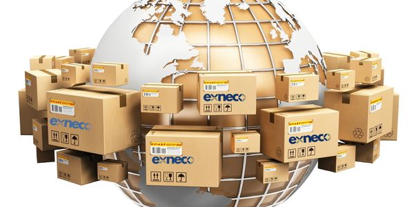 Boxes with exnecc logo around a globe.