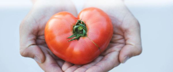 Hands holding a heart-shaped tomato.