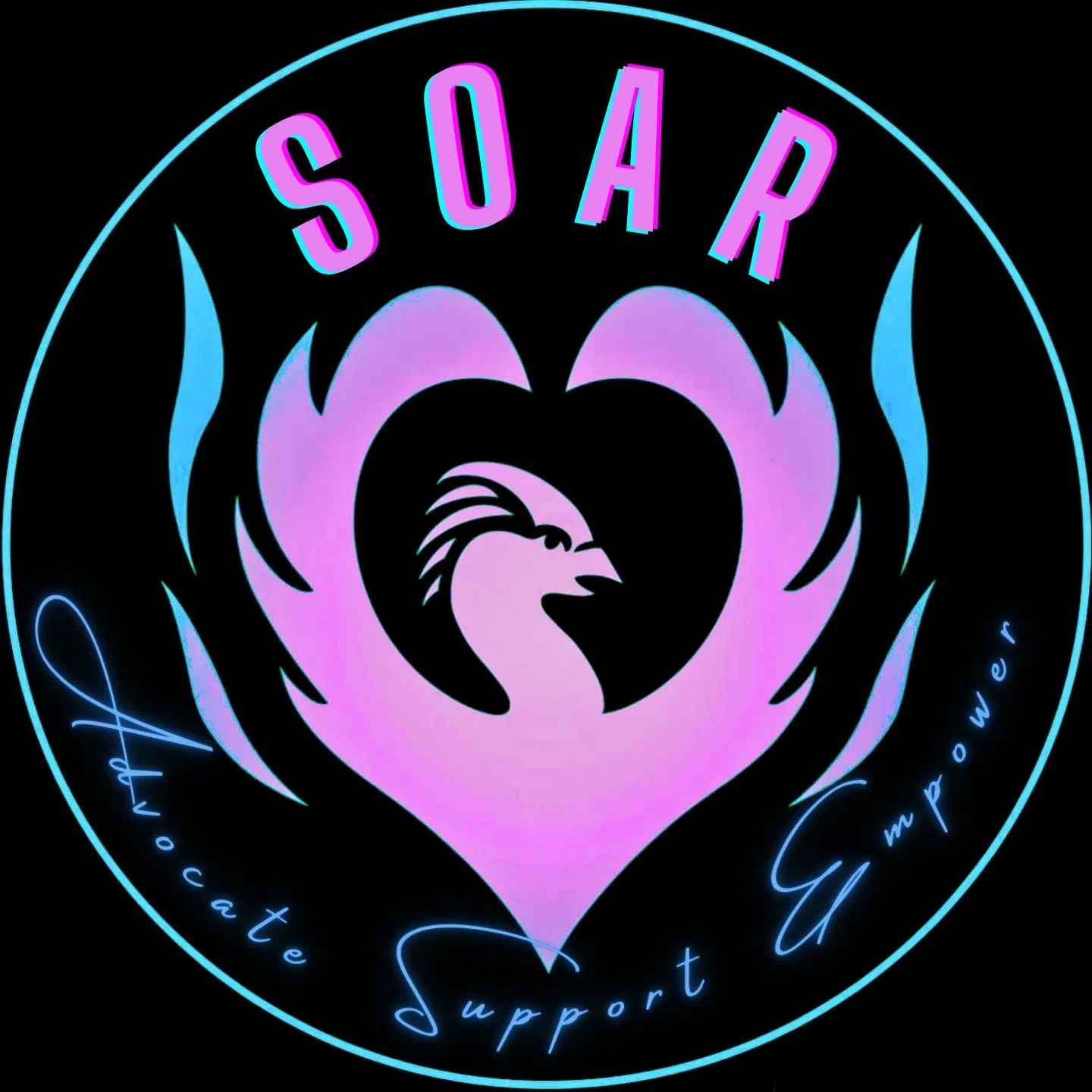 Home [soarinitiative.org]