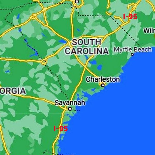 Maine Coon Cat breeder located in South Carolina, Georgia, North Carolina, Alabama, Florida