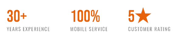 Business metrics highlighting 30+ projects, 100% customer satisfaction, and 5-star reviews.
