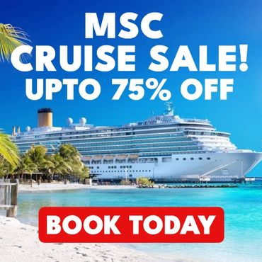 MSC CRUISE SHIP IN CARRIBEAN PORT 