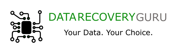 Data Recovery Guru partner logo and link