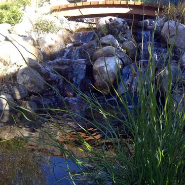Split waterfall into pond basin - 10ft length  - 8x6 pond - installed on slope in backyard area. Amazing sount and movement