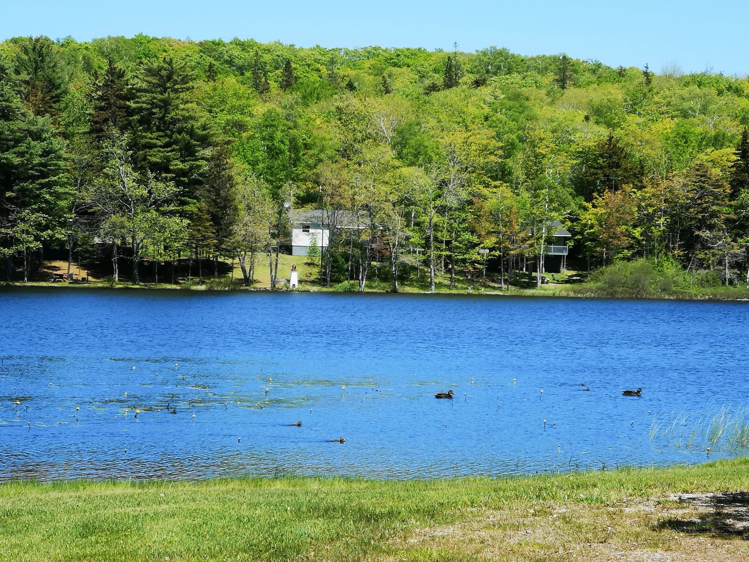 Mountain Top Cottages and Campground