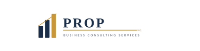 PROP BUSINESS CONSULTING SERVICES 