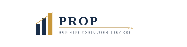 PROP BUSINESS CONSULTING SERVICES 
