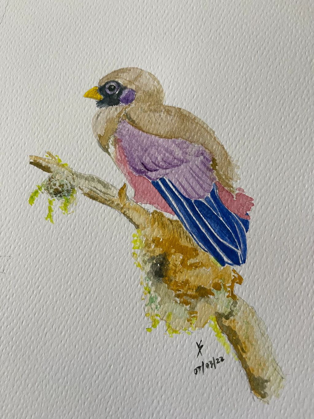 acuarela de passarinho