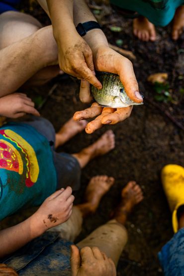 grubby finger touches fish documentary photo