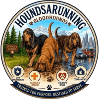 HoundsARunning Bloodhounds