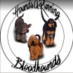 HoundsARunning Bloodhounds