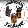 HoundsARunning Bloodhounds